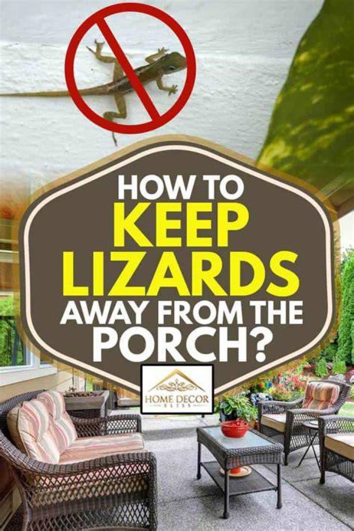 What will keep lizards away from porch?