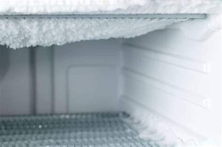Where is the defrost timer on a fridge?