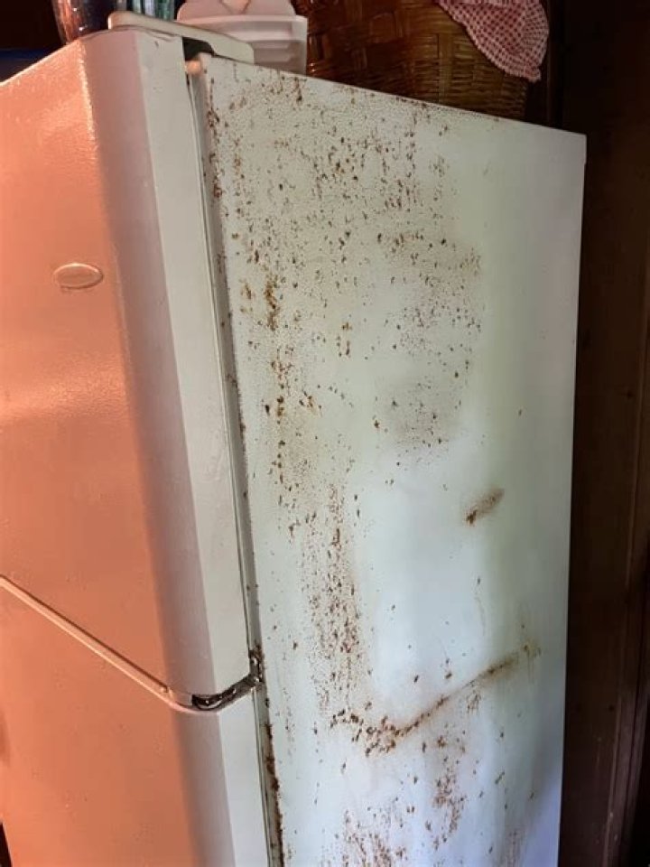 Why is my refrigerator door rusting?
