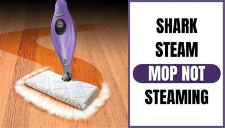 Why is my shark not steaming?